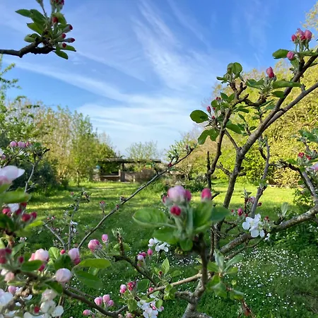 Jolie Grange Au Sein D'une Ferme Bio Le Thou