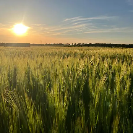 Jolie Grange Au Sein D'une Ferme Bio Le Thou